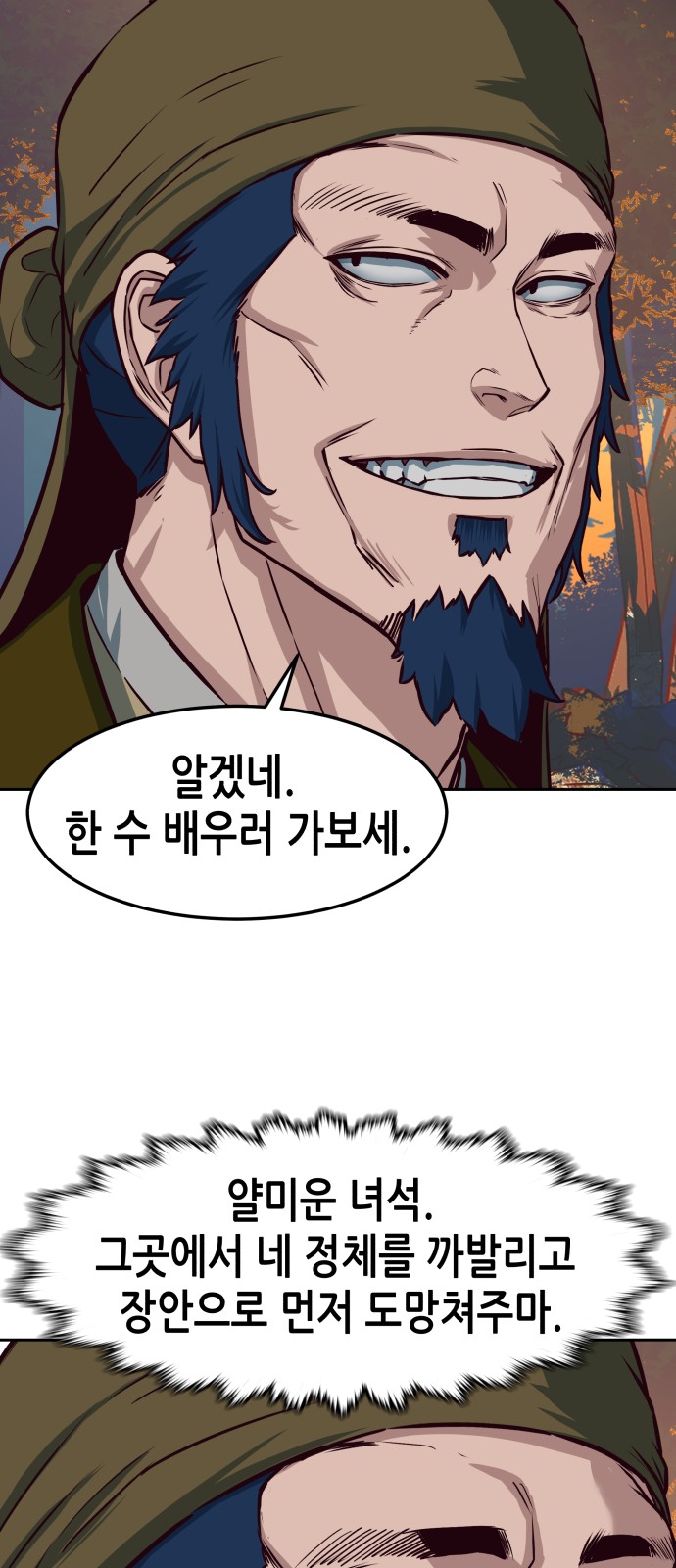 46 페이지