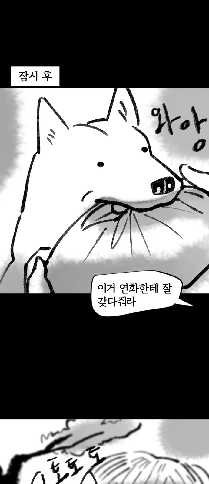 15 페이지
