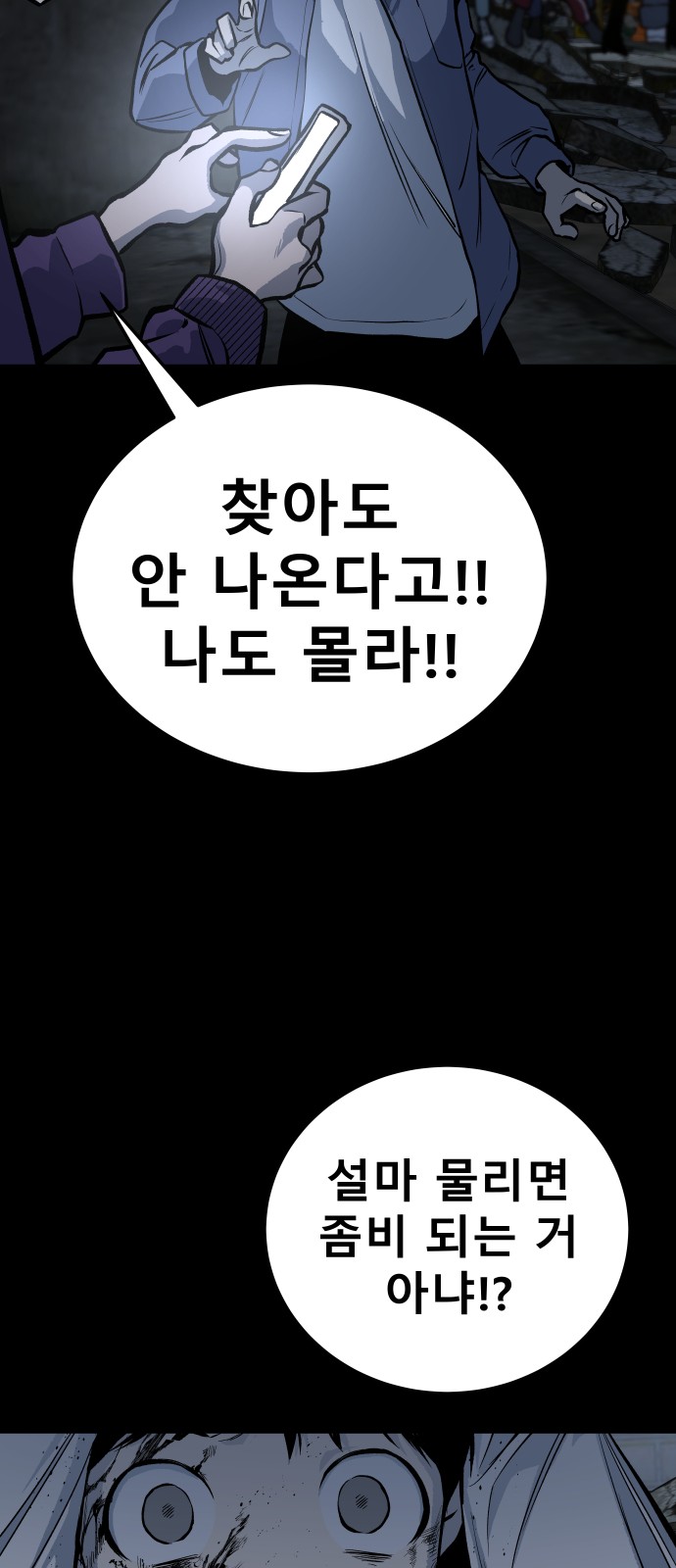 75 페이지
