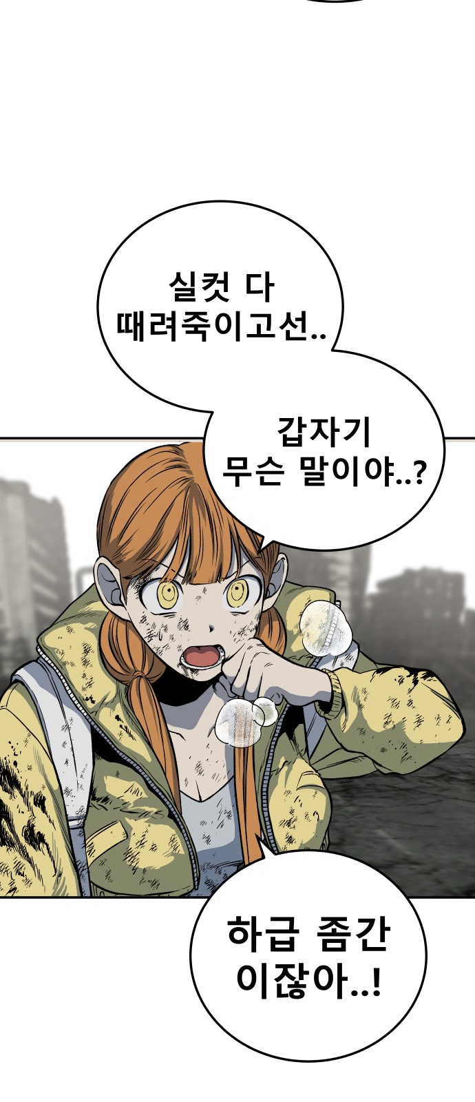 116 페이지