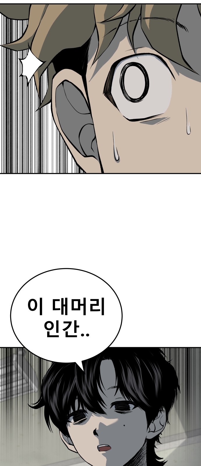 100 페이지