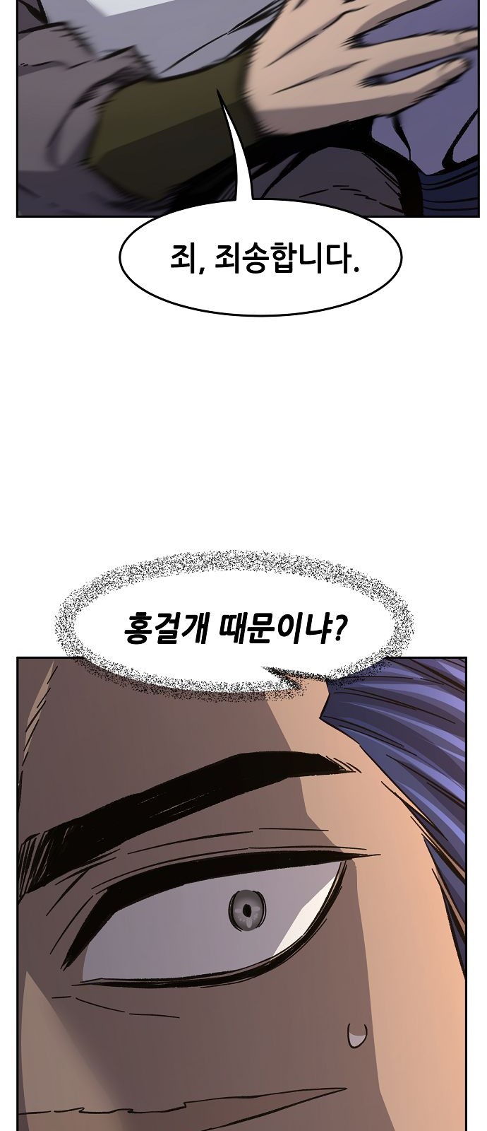 33 페이지