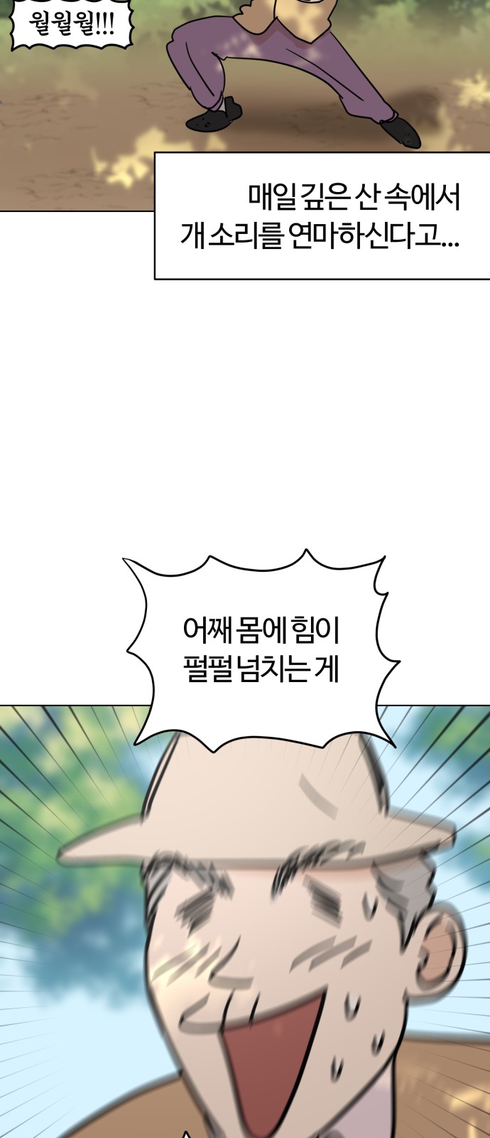 43 페이지