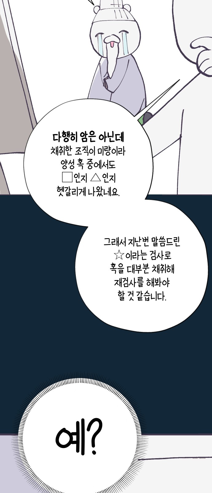 52 페이지