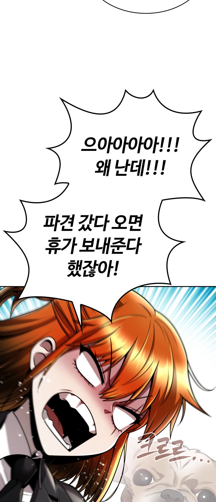72 페이지