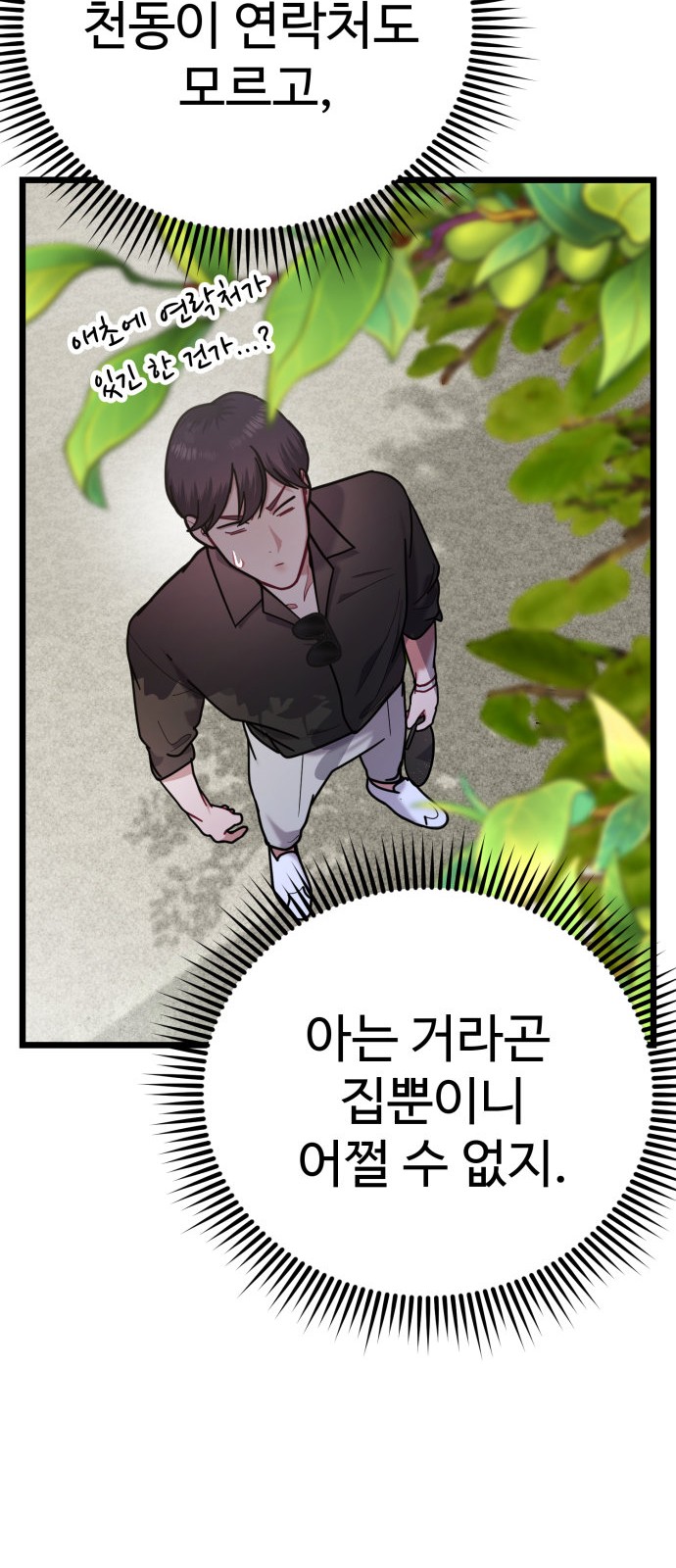 19 페이지