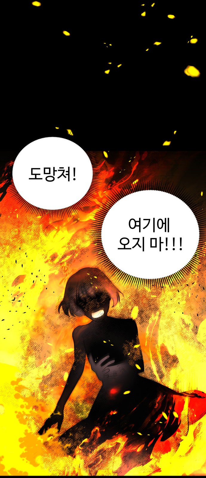 81 페이지