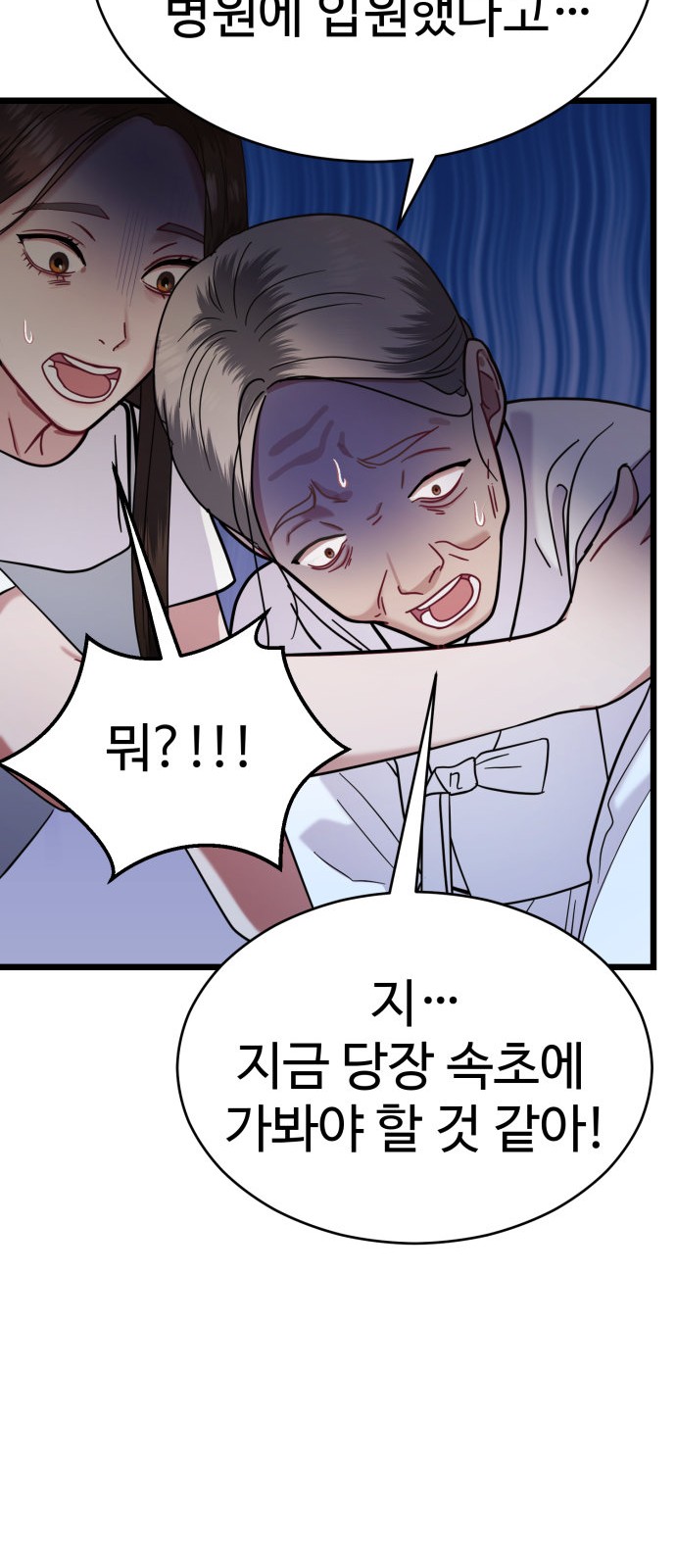 88 페이지