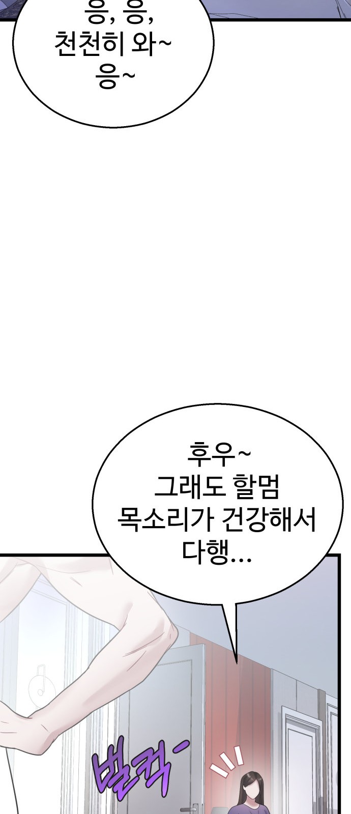 66 페이지