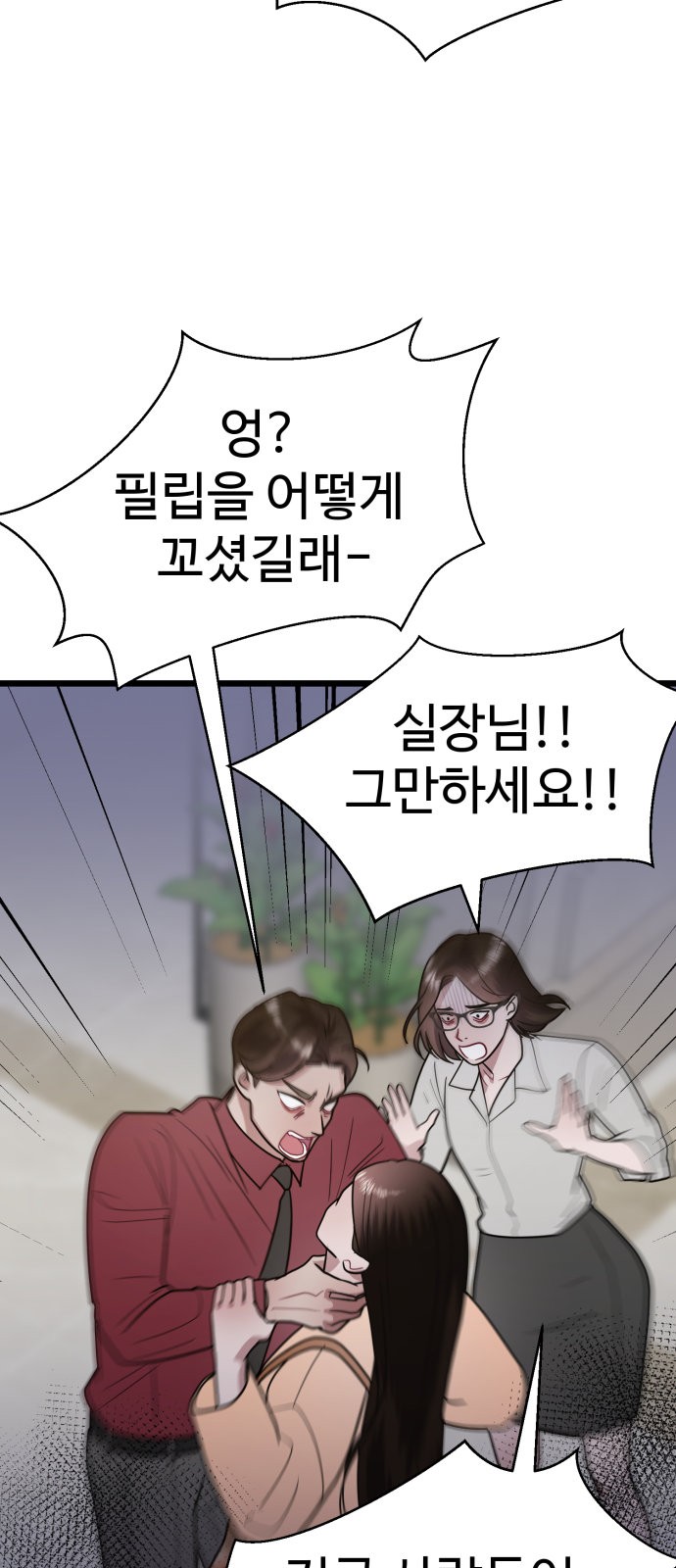 66 페이지