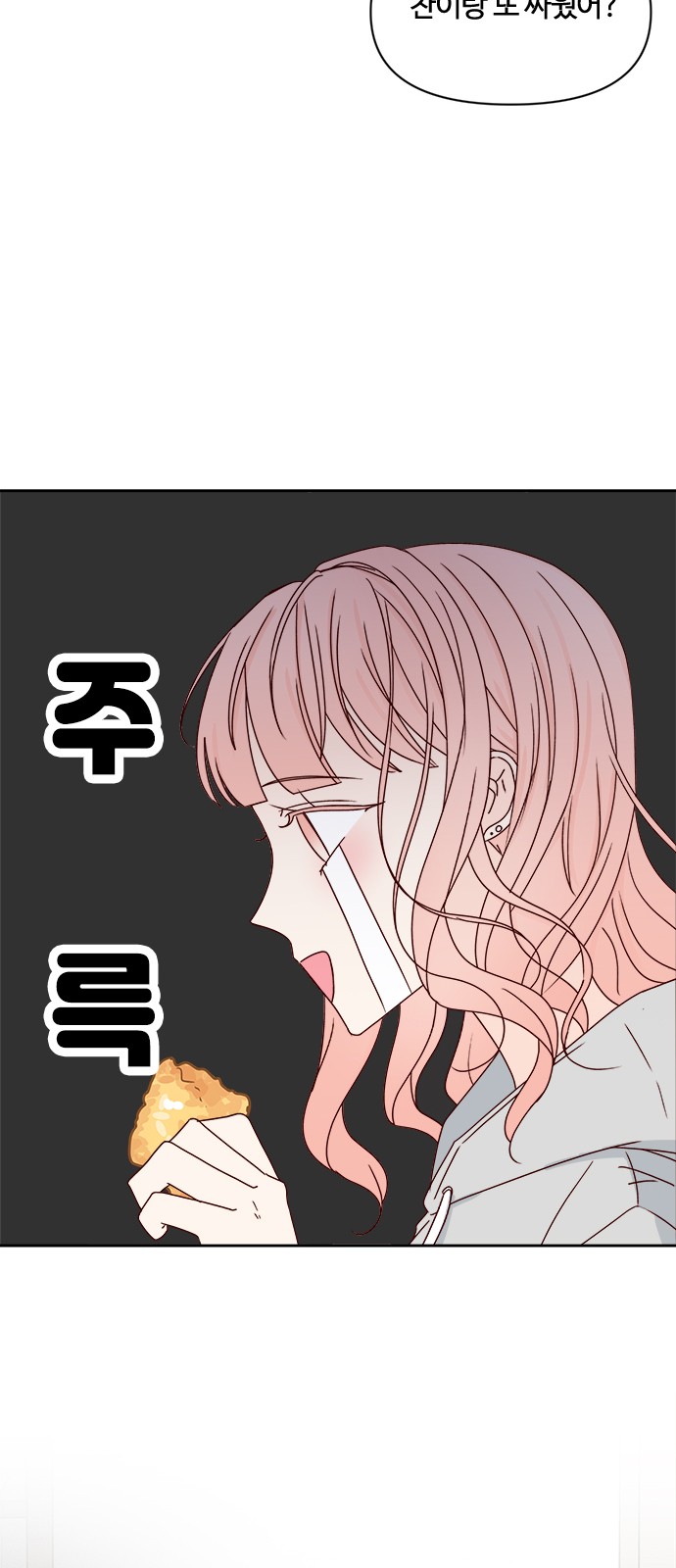 29 페이지