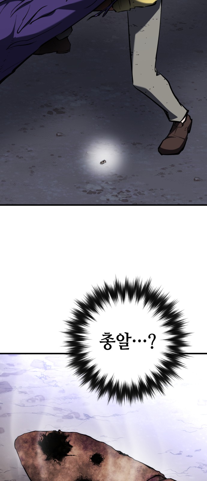 66 페이지