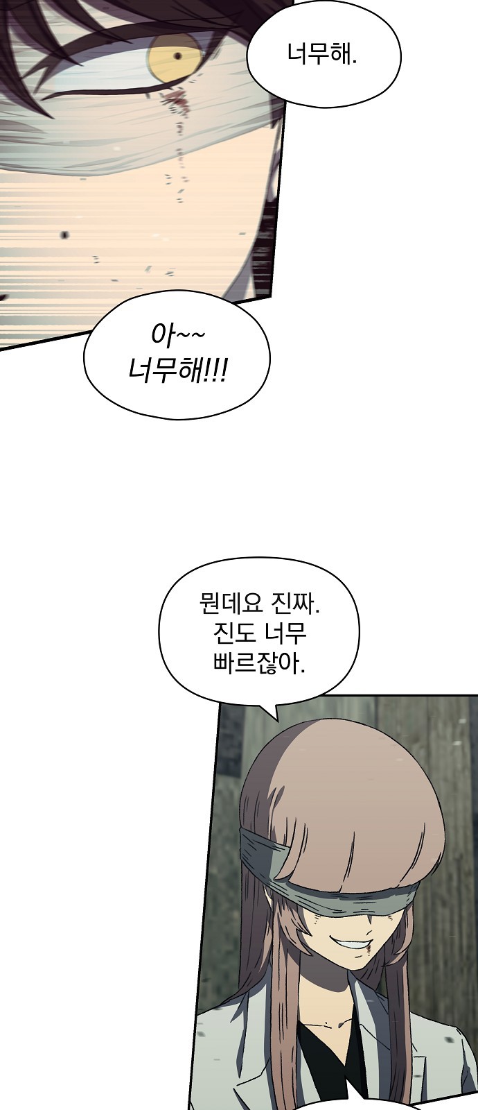 65 페이지