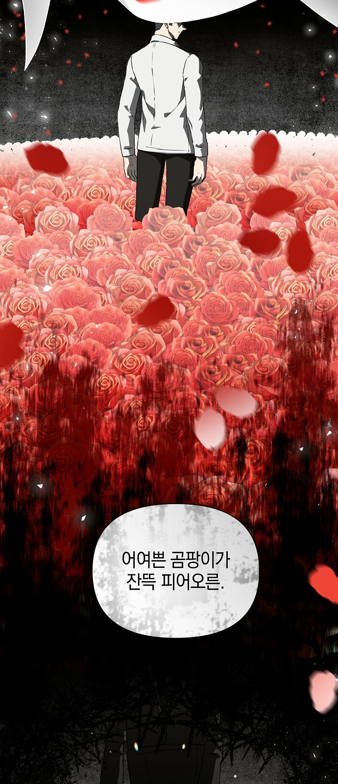 42 페이지
