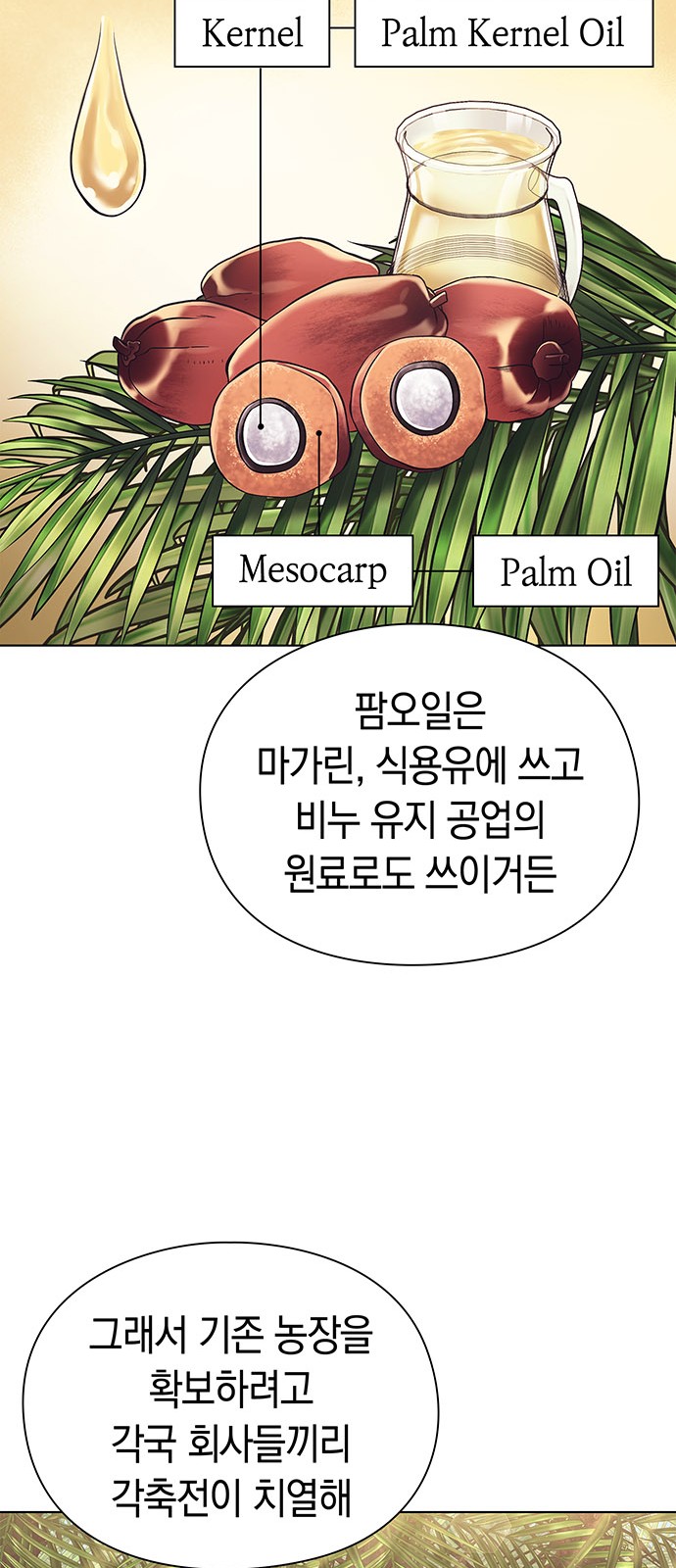 25 페이지