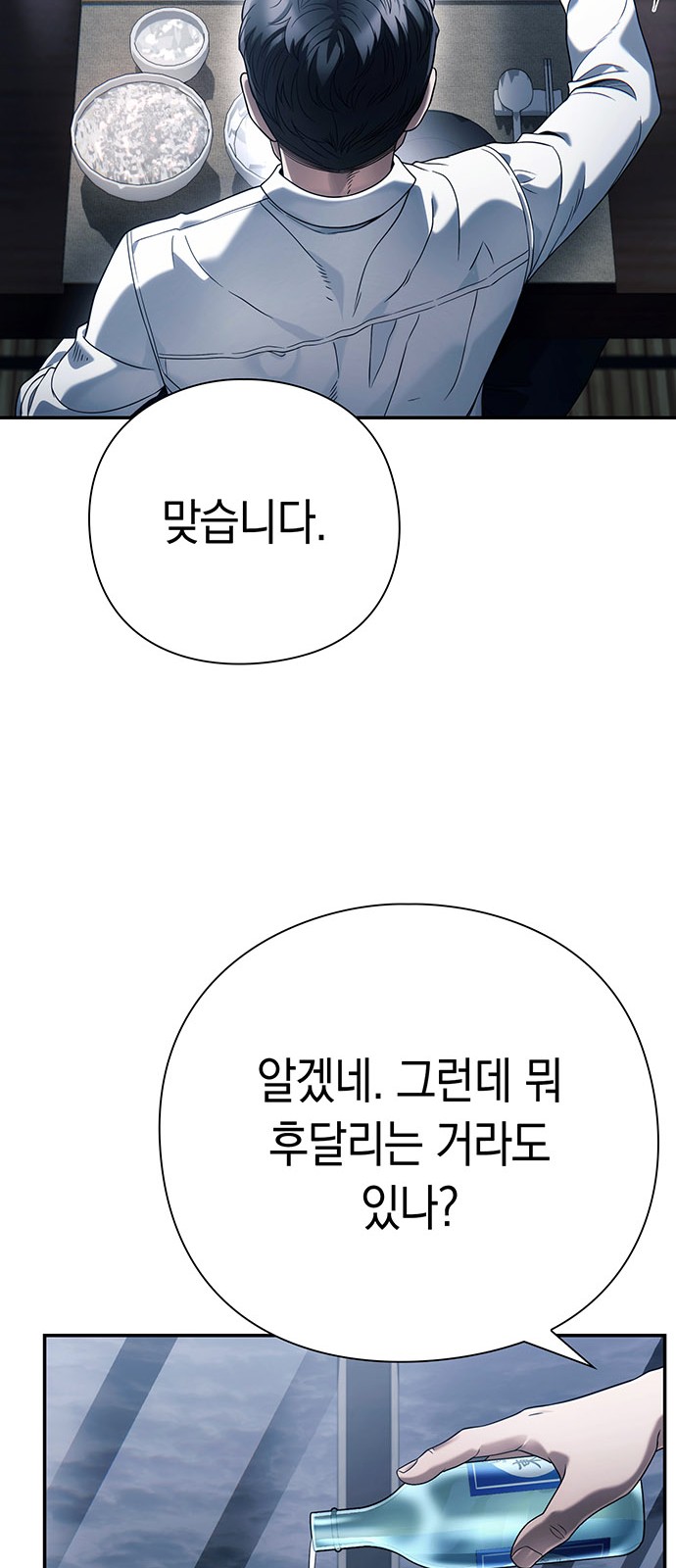 86 페이지
