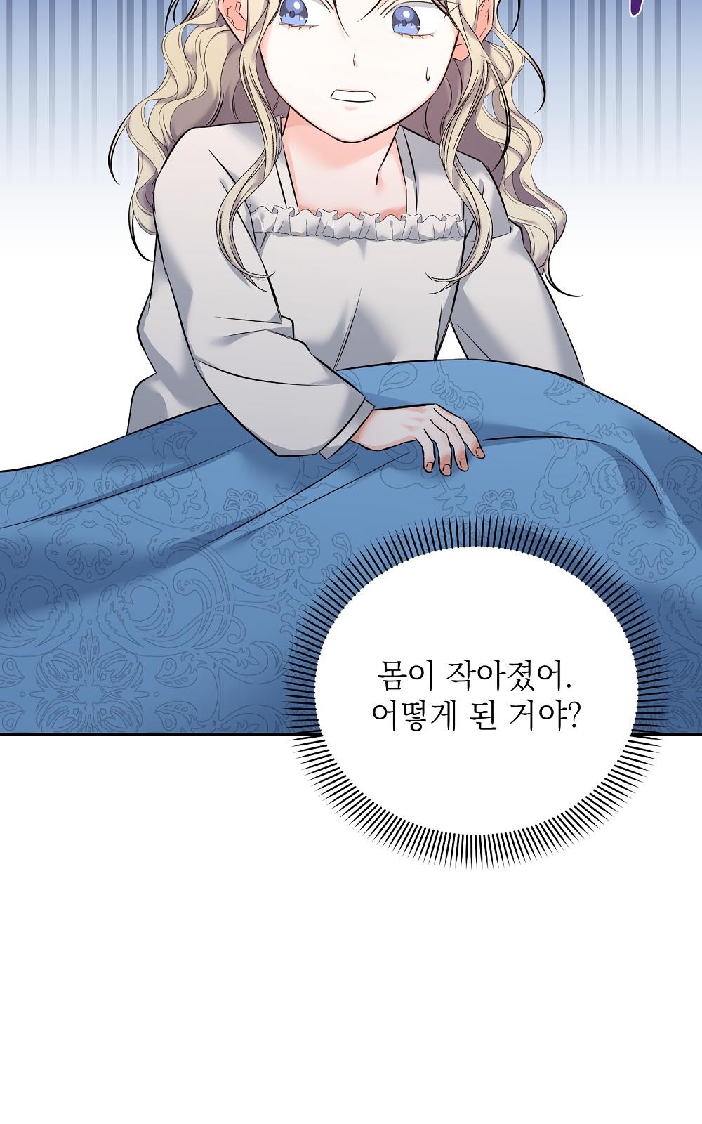 67 페이지