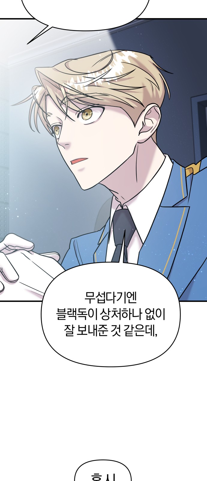46 페이지