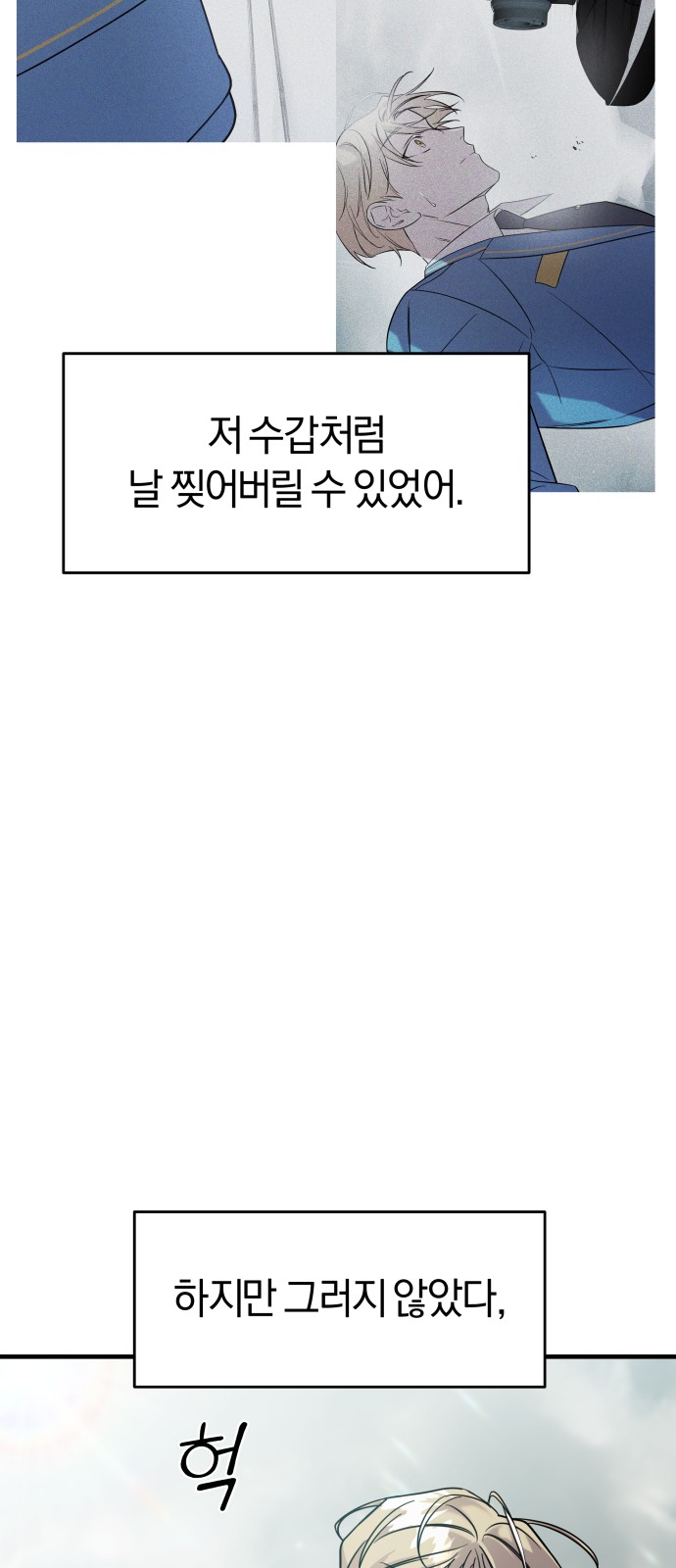 81 페이지