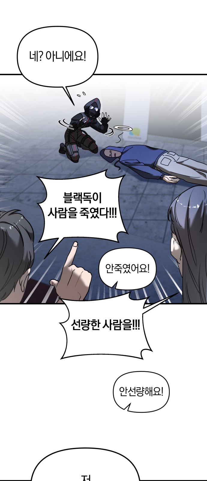 46 페이지