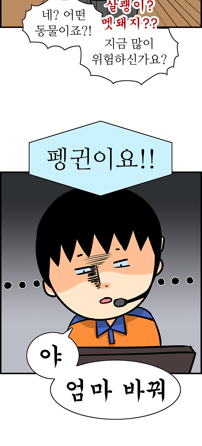 14 페이지