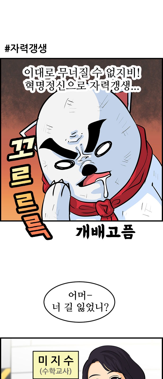 11 페이지