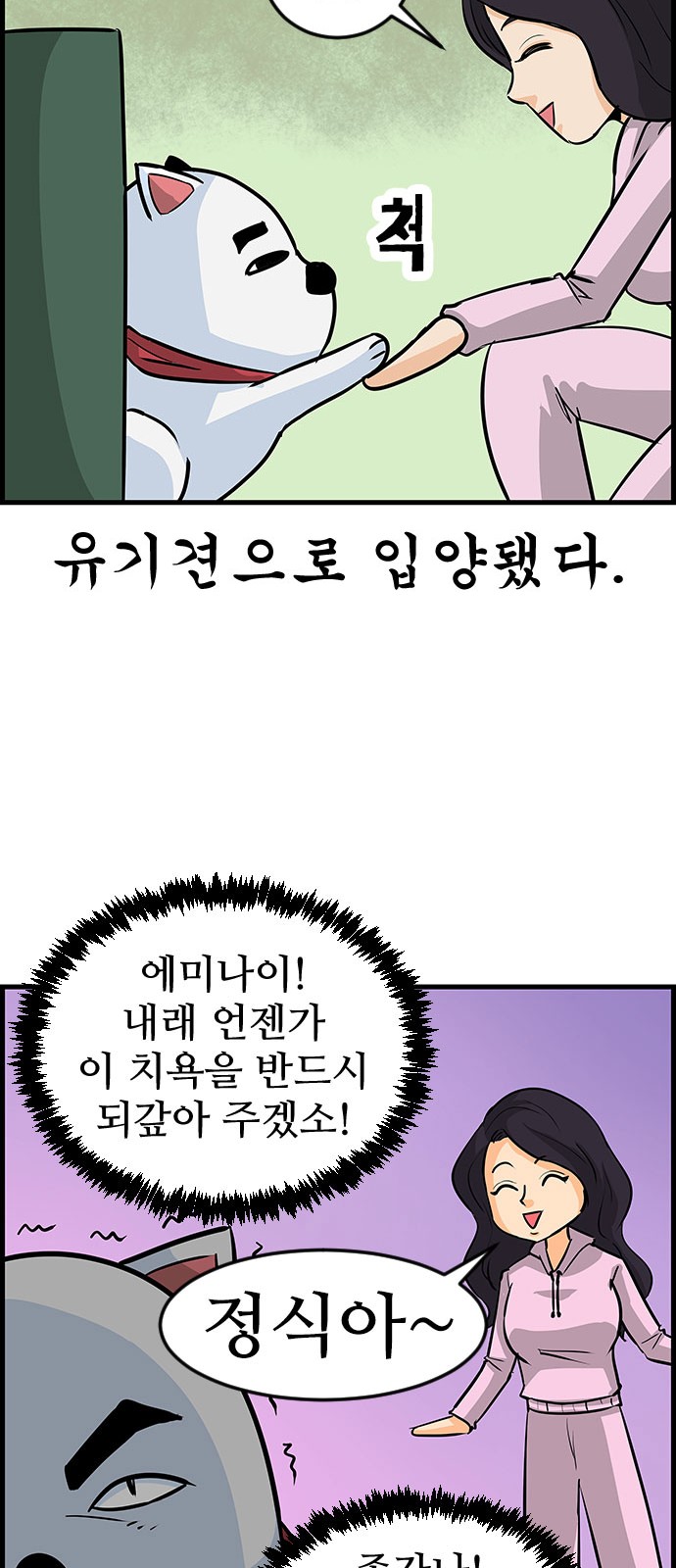 15 페이지