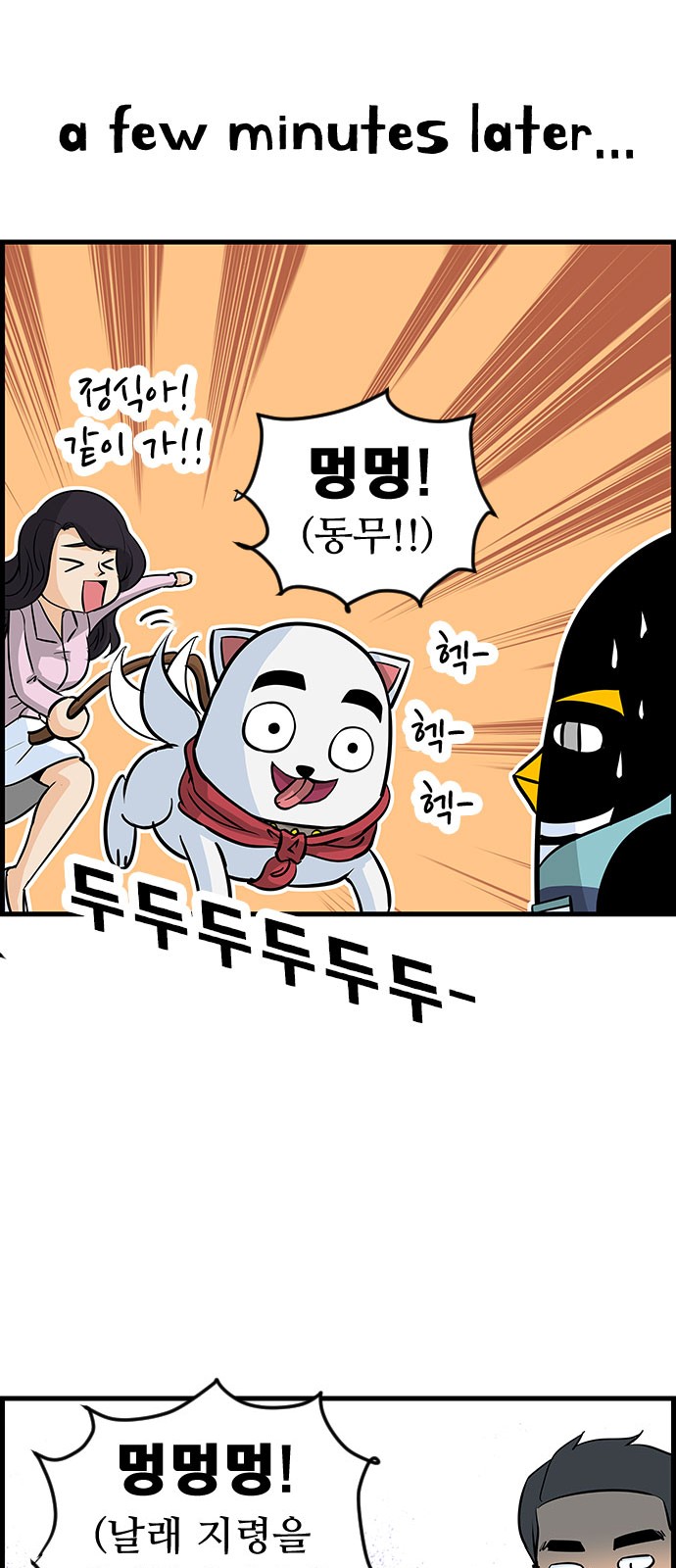17 페이지