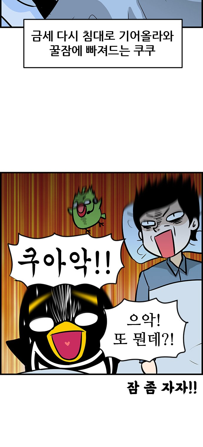 16 페이지