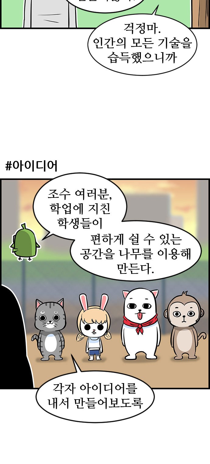 13 페이지