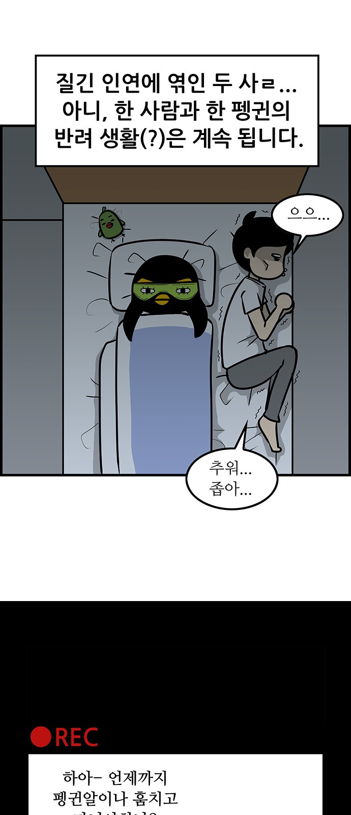29 페이지