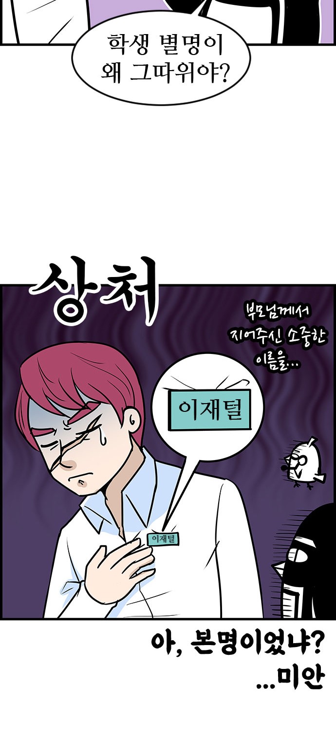 13 페이지