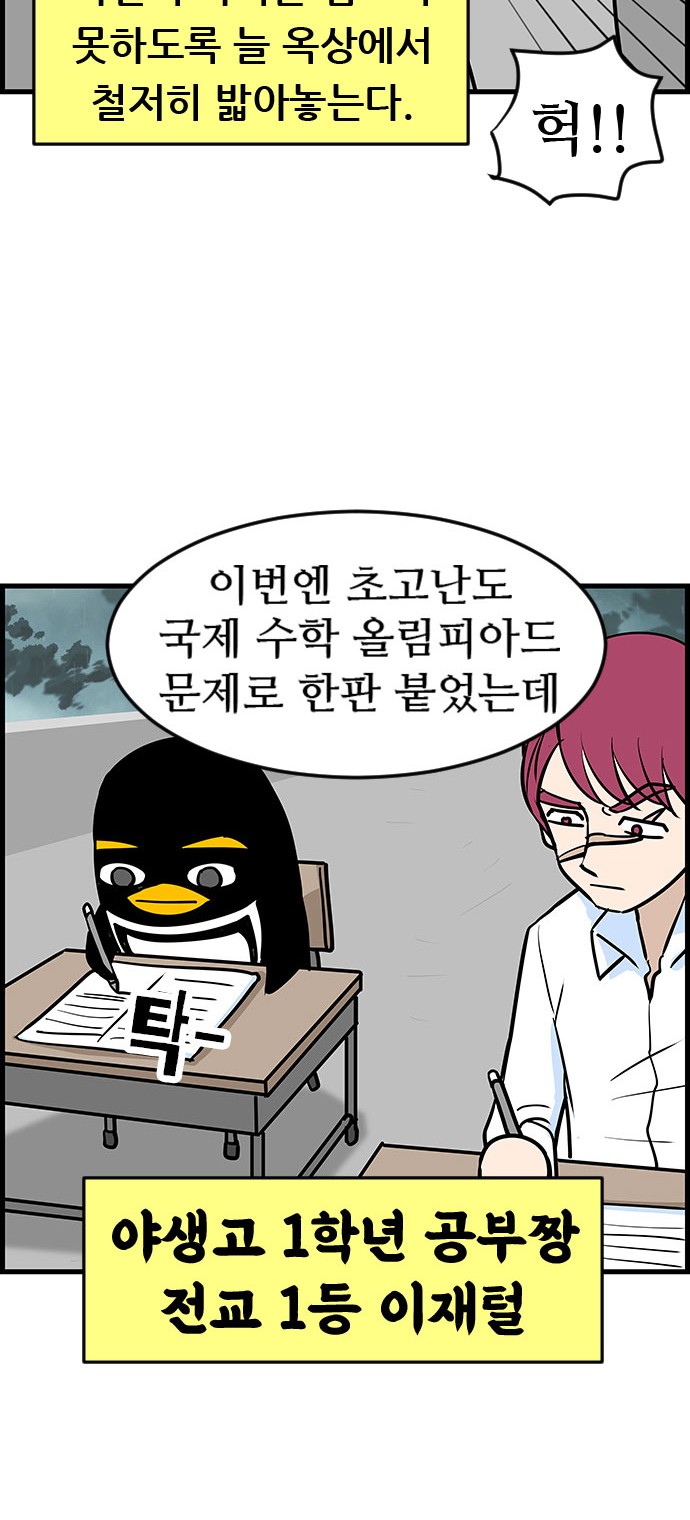 19 페이지