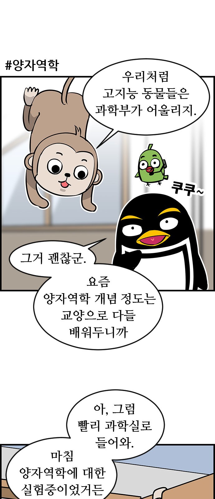 14 페이지