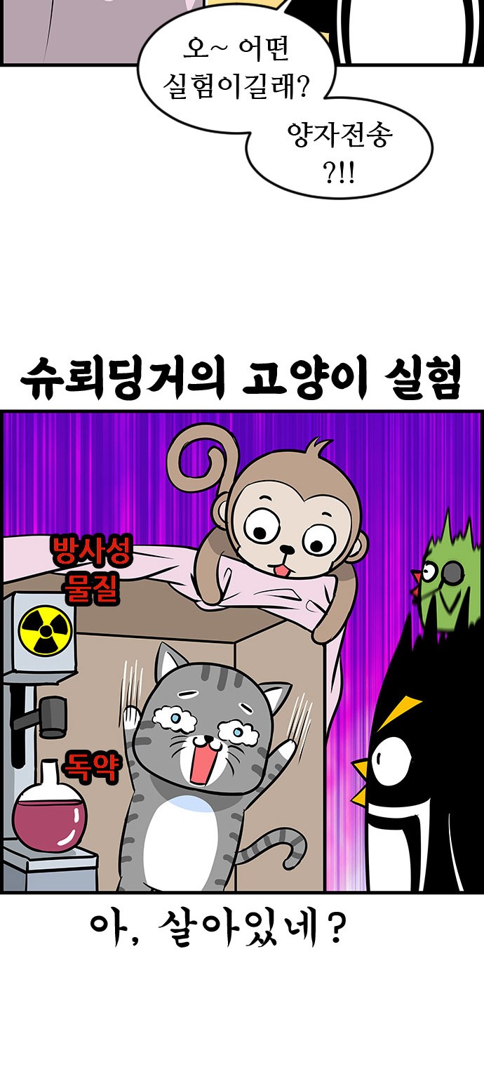16 페이지