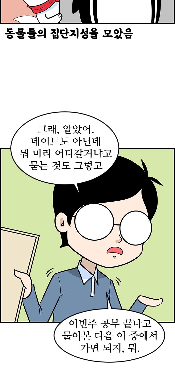 19 페이지