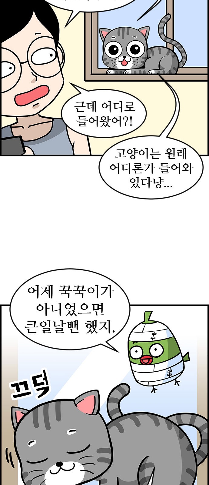 15 페이지