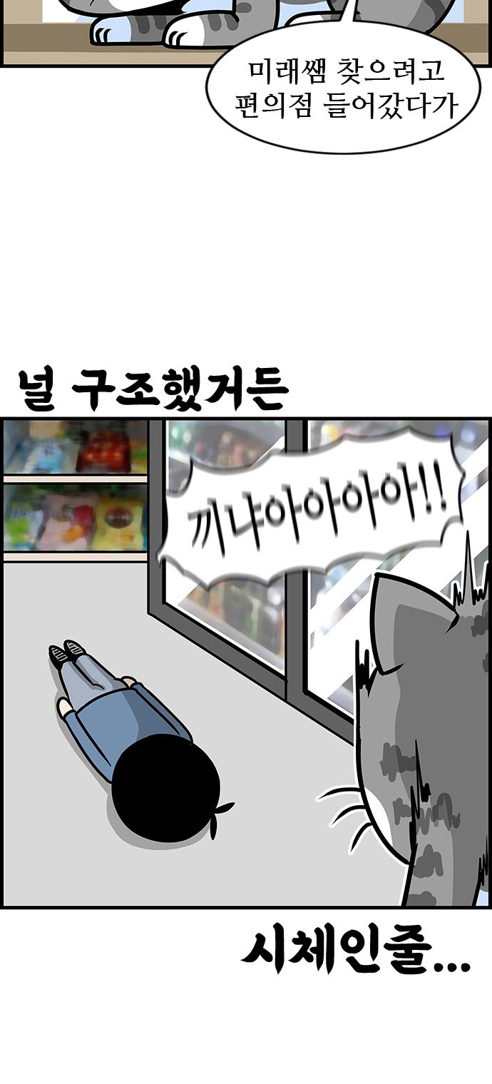 16 페이지