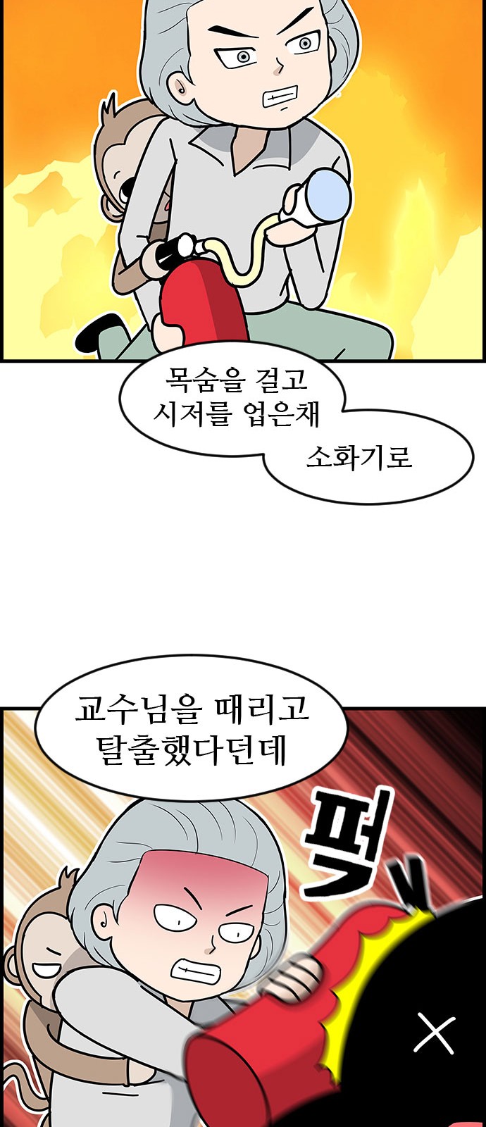 15 페이지