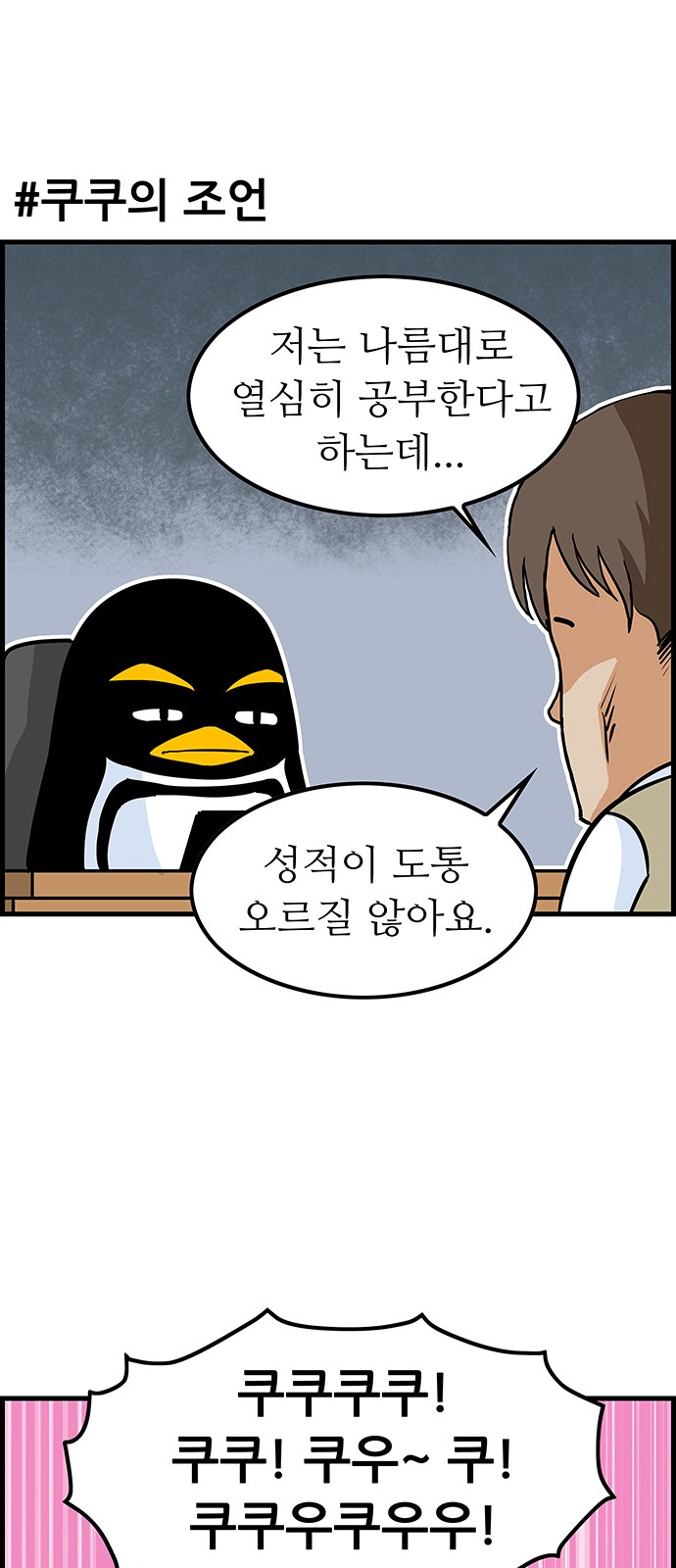 14 페이지