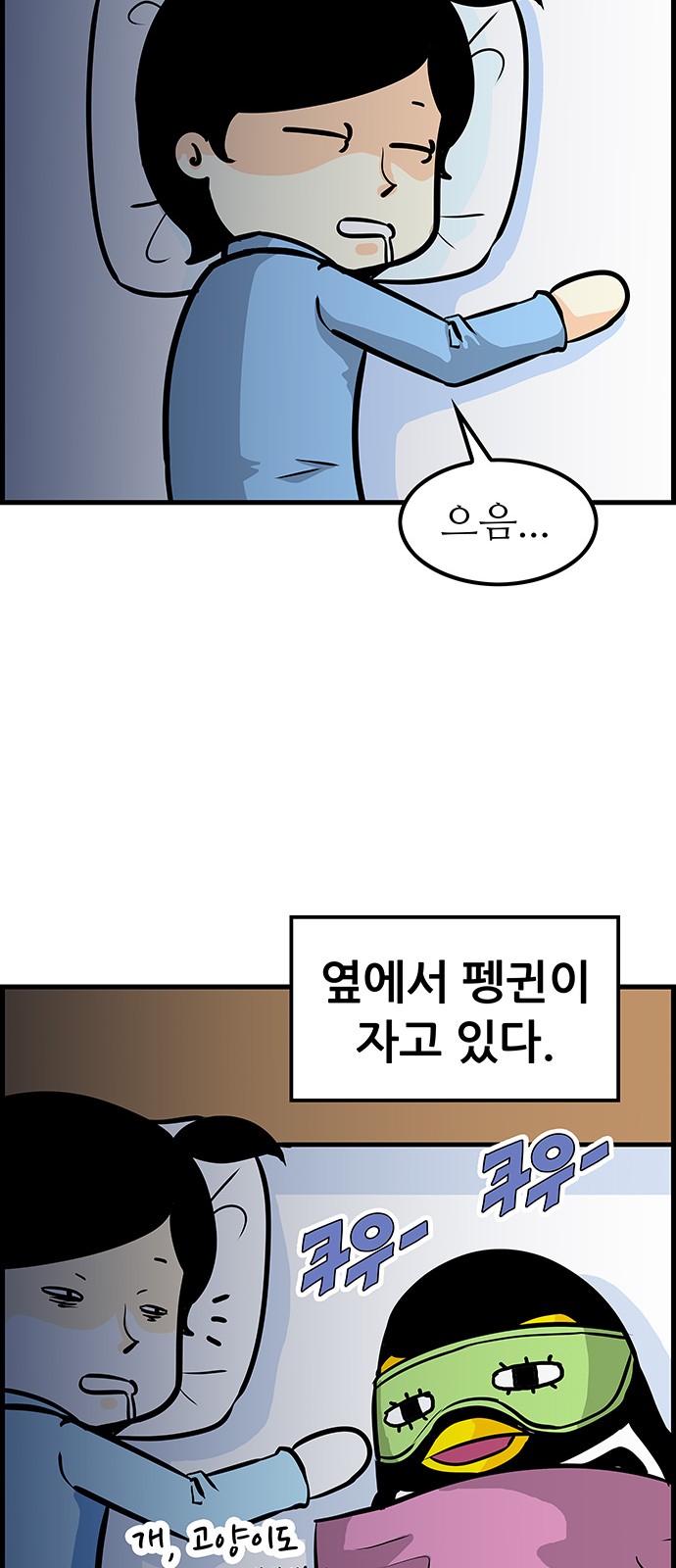3 페이지