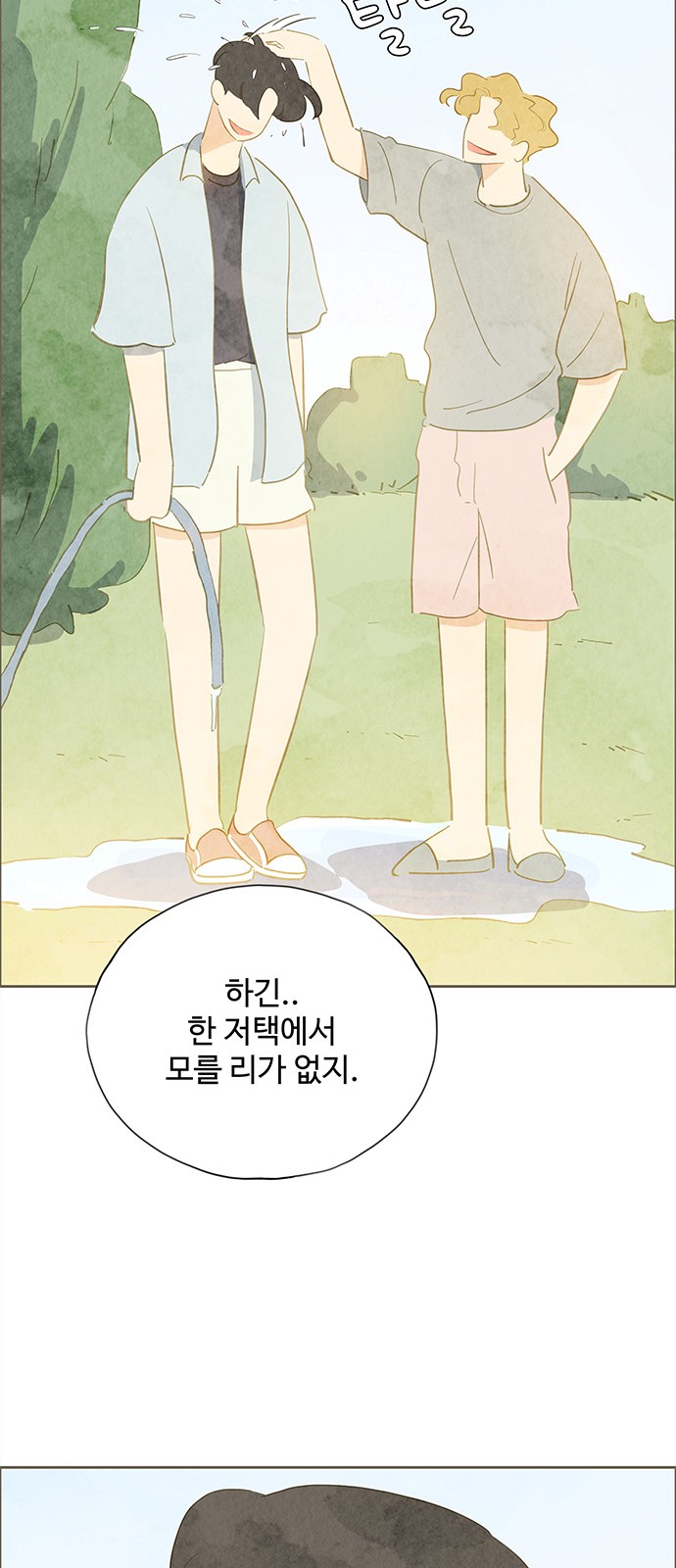 33 페이지