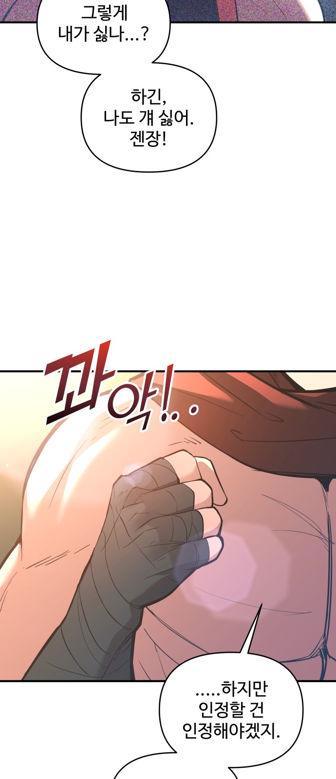 66 페이지