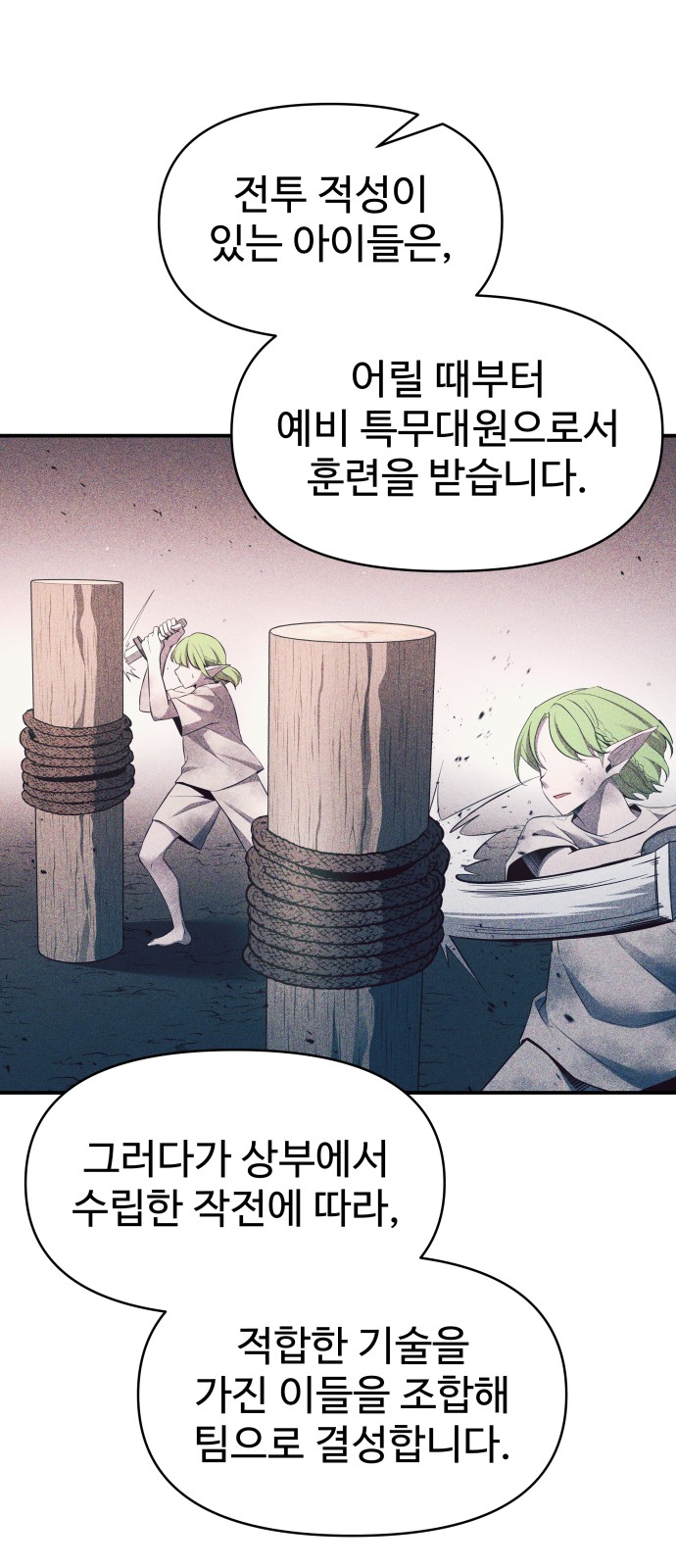 53 페이지