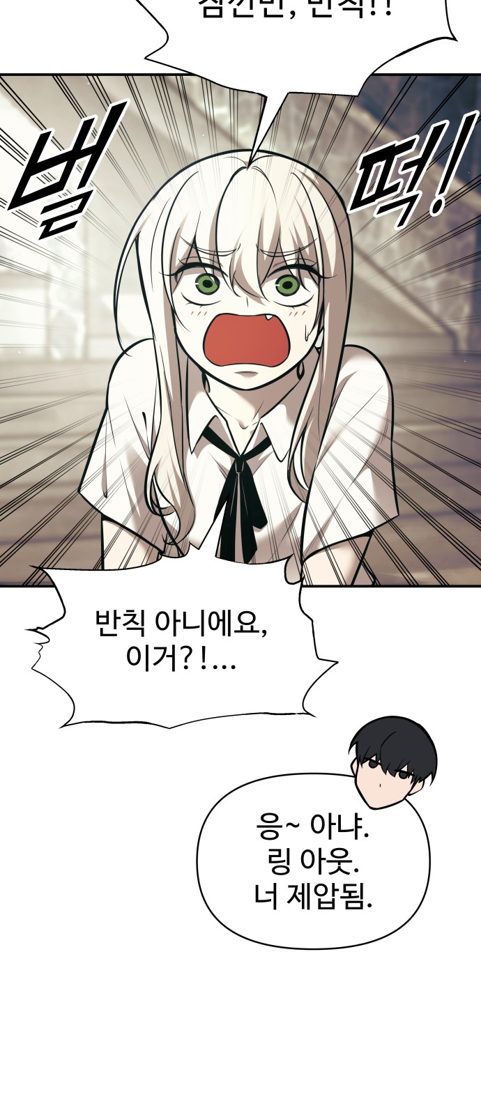 46 페이지