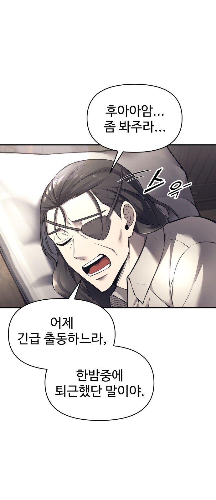 66 페이지