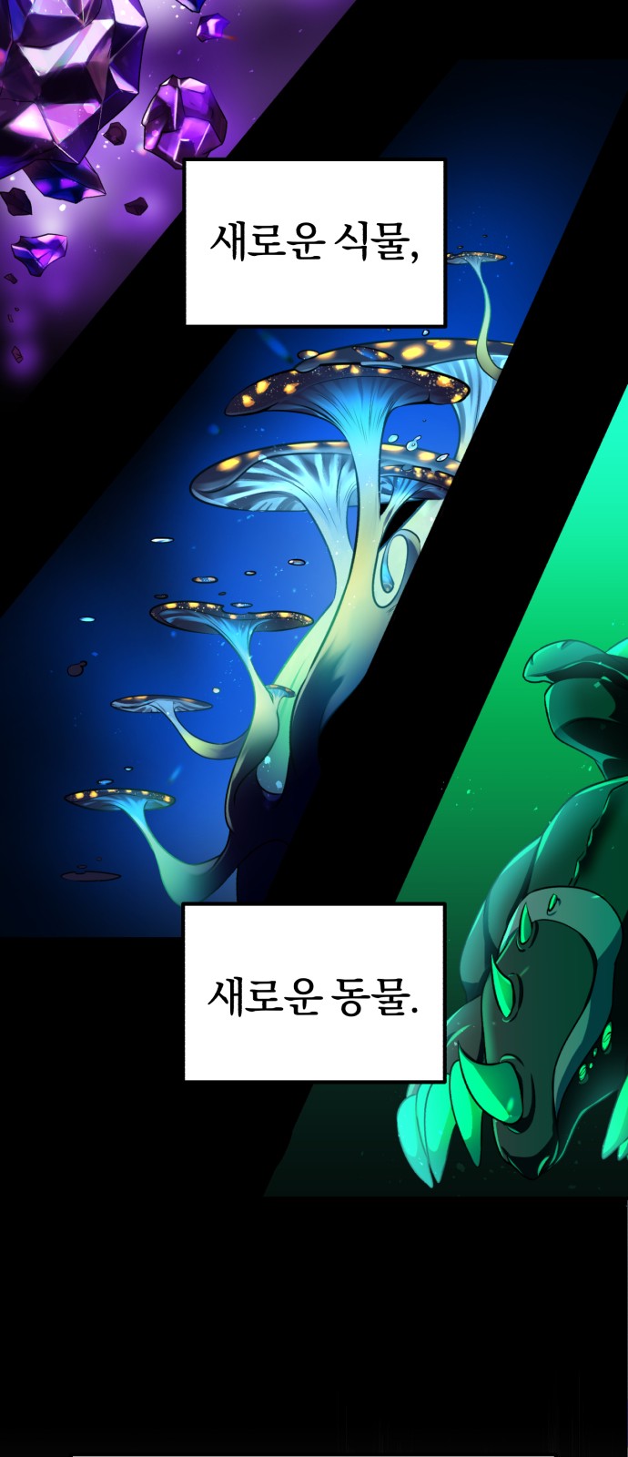 77 페이지