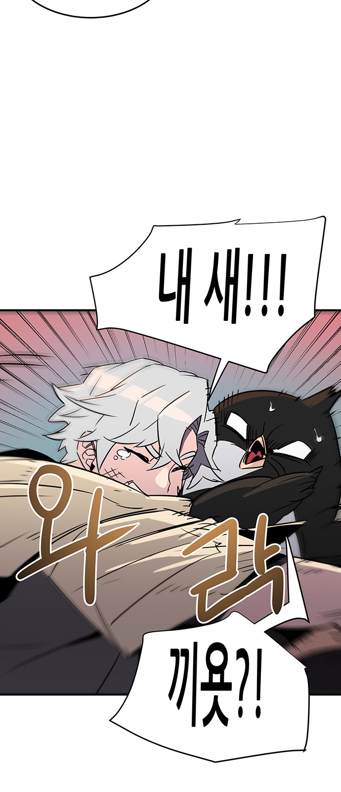 252 페이지
