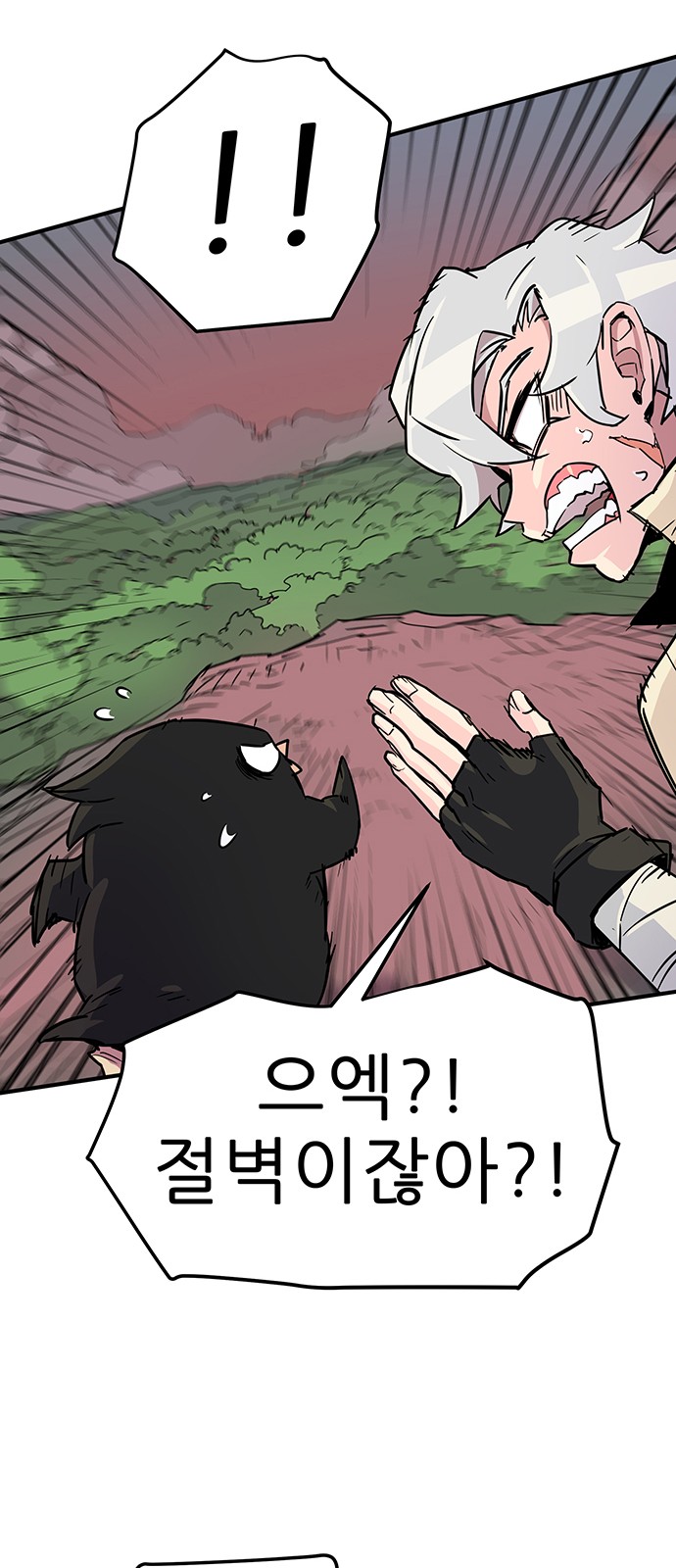 135 페이지