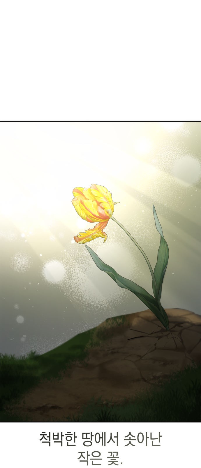 77 페이지